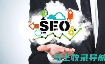 SEO进阶教程：搜索引擎优化步骤剖析与案例实战技巧展示