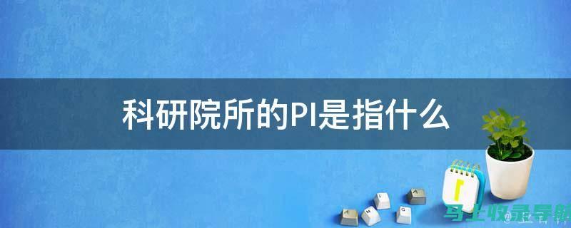 深入了解Ping站长工具：助力网站优化